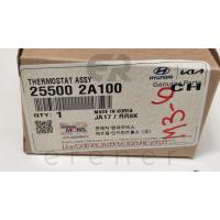25500-2A100 BLUE ELENTA İ20 12> TERMOSTAD (DİZEL)