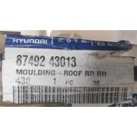 87492-43013 L300 H100 87-05 TAVAN ÇITASI (SAĞ) (NİKEL)
