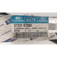 87231-07000 PİCANTO 05-09 TAVAN ÇITASI (SOL)
